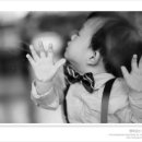 대전아기사진,대전돌사진,대전돌스냅사진,대전야외촬영 - [지영이]님 대전해피포토에 돌스냅문의주신내용 답변드렸습니다 이미지