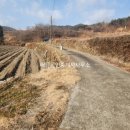 송광면 행정복지센터 네이버블로그