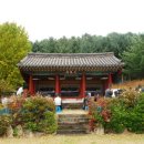 구은사 Daum카페