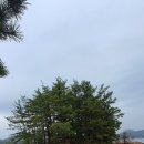 대청호오백리길 호반열녀길 이미지