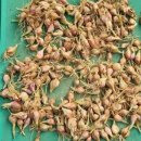 힐링스테이 우드밸리 이미지