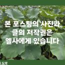 을-160 | 무릉교 출렁다리-주차,육각형 터널 무릉교,지리산 자생약초160여종이 있는 산청약초관,방문후기