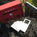 (주)콜로리 | 제주의 색채를 담은 애월 뚜띠콜로리, 이색 컬러헌팅 체험