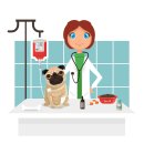 더편한동물병원 이미지