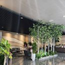 골프존 파크 연습장 이미지