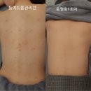 오늘도예쁘다 이미지