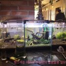 마니커피숍
