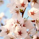 우림시장 이미지