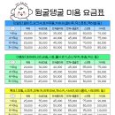 뒹굴댕굴 이미지