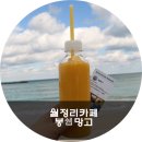 봉쉡망고월정점 | 월정리카페 봉쉡망고 달달한 휴식