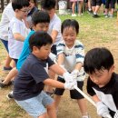 키즈태권도 | 신월동태권도 찾다가 아이가 즐거워한 키즈태권도 후기