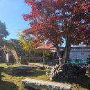 피자덕 | 김천 화덕피자맛집 나폴리언덕. 내돈내산 후기