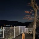 포레스트 G2 이미지