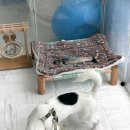 펫 가디언 이미지