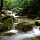 8월8일 목요일. 충북 충주. 소나무 어우러진 빼어난 산세와 시원한 계곡 '월악산 만수봉' 이미지