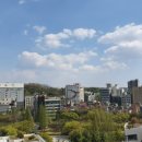 경기도 수원시 영통구 반달로 이미지