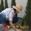 엄마의별장