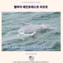 마이포레스트 | 쿠칭 펄마이 레인포레스트 리조트 후기 자연 속 힐링 숙소 추천