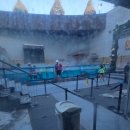 원미구 조마루로411번길 11 | 서울 근교 온천 워터파크 웅진 플레이도시 겨울 주말 아이와 함께 가볼만한 곳