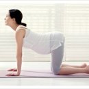 건강요가 이미지