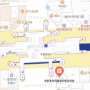 세란통마취통증의학과의원 이미지