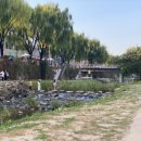 [뭐라도학교]9월 월담:화성성곽길에서 정조대왕을 만나다 | 2022 수원화성미디어아트 그리고 수원노을핫플