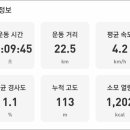 농협사거리 이미지