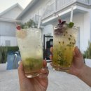 호텔(Hotel)요기 | [라오스여행] 루앙프라방 호텔 추천 마이반라오 호텔 MyBanLao Hotel 후기 (+루앙프라방 맛집 강추강추...