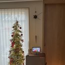 백림 | 가평 자쿠지 숙소 추천｜분위기 좋은 감성 숙소 🌿백림스테이-자쿠지2동🌿 솔직 후기(내돈내산)