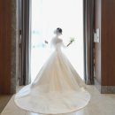 사진인을 위한 포토샵 | 더컨벤션송파문정 연계스냅 비엔노블레스 그랜드볼룸홀 본식 촬영 후기