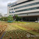 동안구청-1 이미지