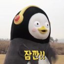 살롱드영 - 평택시 | 살롱드영