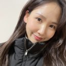 아니마레