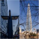 주식회사 신세계종합유통 | 서울 가볼 만한 곳 전통시장 남대문 시장 갈치조림 골목 잠실 석촌호수 벚꽃 축제 서울 여행