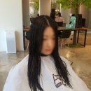 도로시헤어라인 이미지