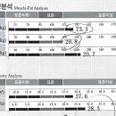 zoefit 네이버블로그