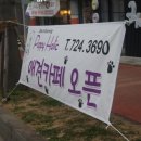 퍼피홀릭 제주 이미지