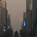 서짐 | 시간은 겨울을 견디고