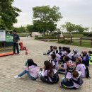 승촌보캠핑장 이미지