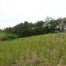 지내리경로당 이미지