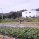 직산농장 이미지