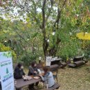 서귀포보건소 정신건강복지센터 이미지