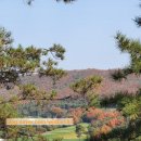 해슬리나인브릿지 하프웨이 하우스식당 | [포포여행] 가을이 오면 단풍즐기기 좋은 숙소. 해슬리 나인브릿지 여주 여행