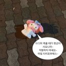 북삼더프렌치 | [16번째]