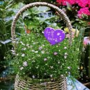 완주횟집 이미지