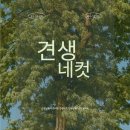 견생유치원 이미지