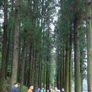 뜰안에 민박 이미지