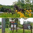 남목역사누리길 | [해파랑길 9코스] 일산해변~현대중공업~주전몽돌해변~정자항