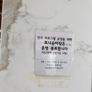 렛츠런파크 제주 | 제주 4살 아이와 주말 나들이 추천 렛츠런파크 제주