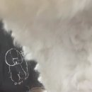 멍뭉이 이발소 이미지